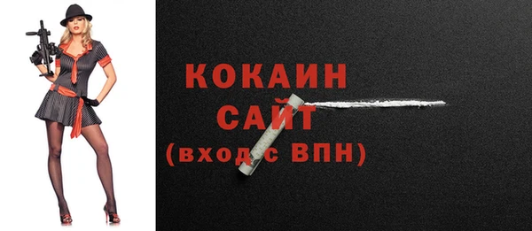 стафф Бородино