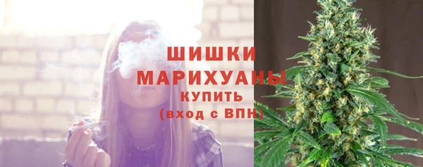 стафф Бородино