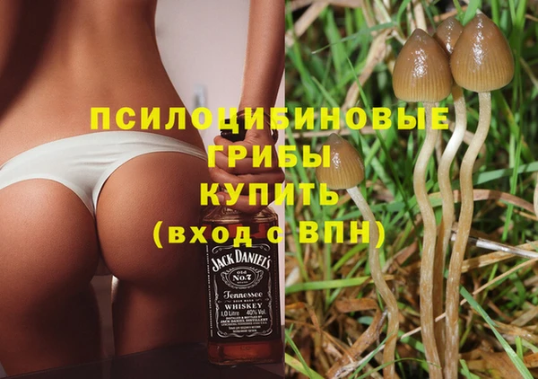 молекула духа Бронницы