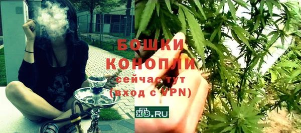 стафф Бородино