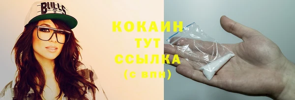 стафф Бородино
