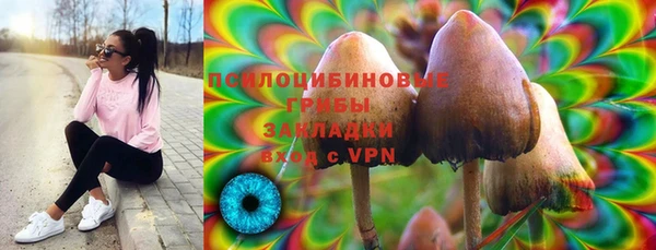 стаф Бугульма