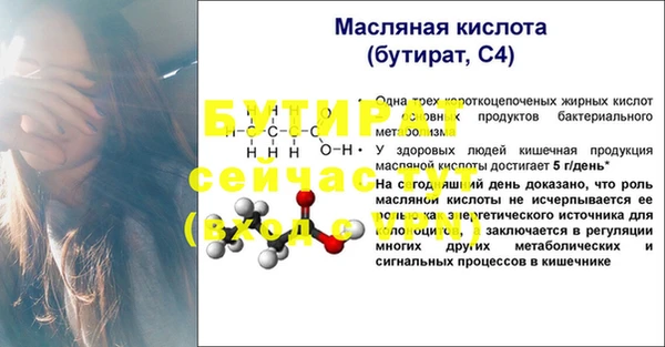 стафф Бородино